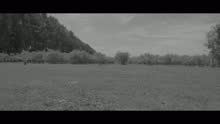 Vetamadre - Para Vos