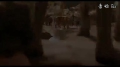 奇幻森林 电视版5:老虎谢利.可汗