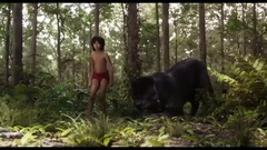 奇幻森林 片段1:Show the Elephants Respect