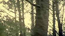 La Oreja de Van Gogh - Mariposa
