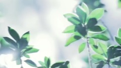 落叶知秋