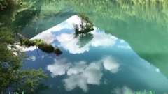 山水情