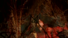 Yo Te Dare (Videoclip)
