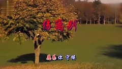 一曲<伤离别>唱哭了很多人,伤感流泪很痛心![超清版]