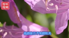 祝你健康