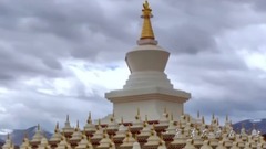 莲花梦