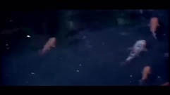 半壶纱