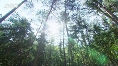 犀利仁师:四爷遭诗爷虐 为其拉牛车[超清版]