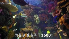 遂宁随你