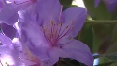 学会欣赏