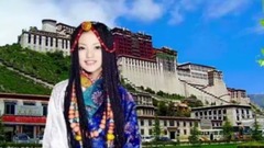 姑娘我爱你