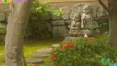 回归宁静