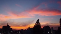 那年的仲夏夜