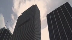 仙人板板