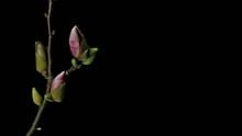 Don't Let Me Know (Lyric Video)
