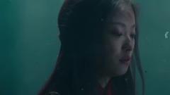 紫