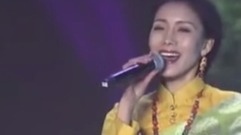 梅里爱的见证