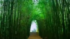 雨韵