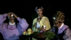 但愿人长久