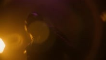 Tribalist (Get To Know) (Official Video)