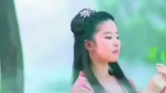 西海情歌