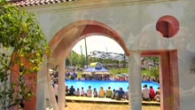Badewannentango (ZDF-Fernsehgarten 23.06.2002) (VOD)