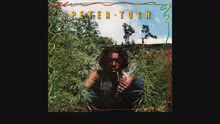 Legalize It (Audio)