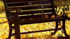 爱在深秋