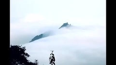 琵琶语