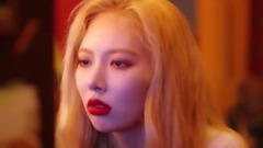 Lip & Hip
