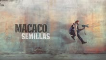 Semillas (Audio)