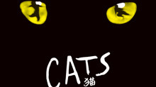 百老汇音乐剧《猫》Cats+金牌制作人