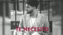 Te Necesito (Cover Audio)