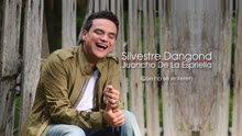 Silvestre Dangond - Que no se enteren (Cover Audio)