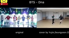 DNA 版本对比