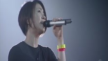 宇多田光 - 宇多田光 - Can't Wait 'til Christmas - WILD LIFE