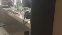 陈漫直播 胡一天 打招呼 17/12/14