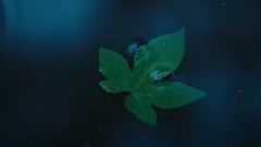你好,大悟