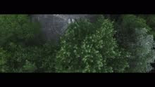 I Feel Alright (Official Video)