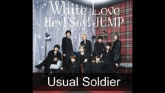 Usual Soldier