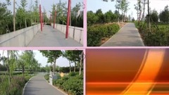 黄县林苑