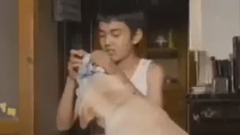 Maumy 人狗奇缘ost