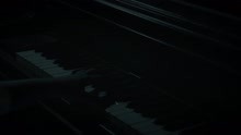 The Decay of Disregard (official video)