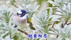 问彩虹