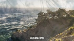 一生所爱