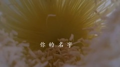 诗歌-你的名字