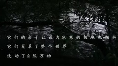 灵魂在黑暗中起舞