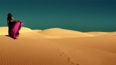 风景 - 锡那罗亚州