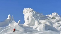 太阳岛上
