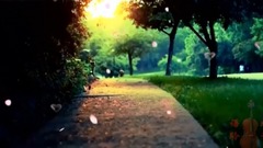 心雨